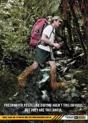 Hairy Booted Walker Poster